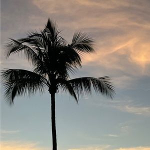 Meet your Posher, Jullea